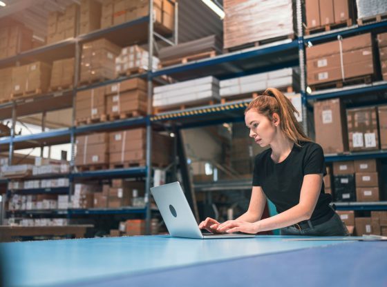 logistyka w sklepie internetowym